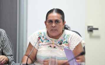 Diputados del PAN buscan crear Ley para Mujeres Jefas de Familia