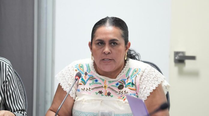 Diputados del PAN buscan crear Ley para Mujeres Jefas de Familia