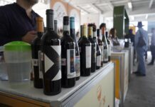 El idilio del vino en Guanajuato: León con “Sabor a Vid”