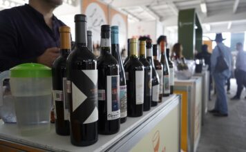 El idilio del vino en Guanajuato: León con “Sabor a Vid”