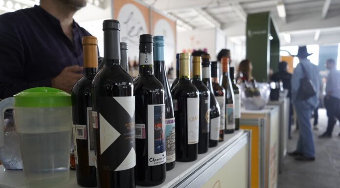 El idilio del vino en Guanajuato: León con “Sabor a Vid”