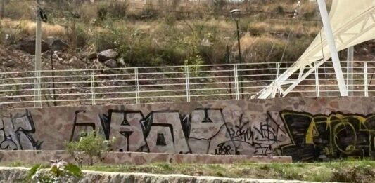 Descuida municipio de León zonas aledañas a IMSS 56, denuncian vecinos