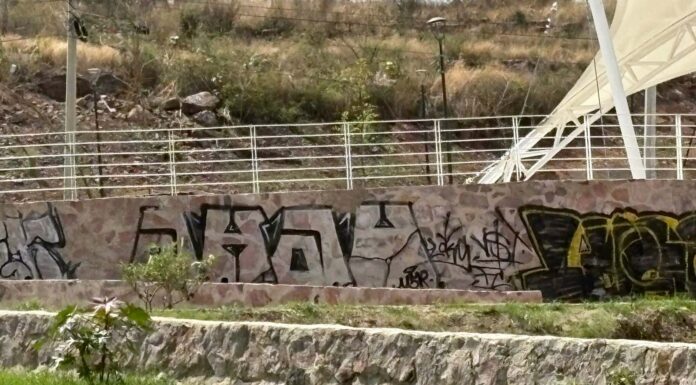 Descuida municipio de León zonas aledañas a IMSS 56, denuncian vecinos