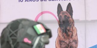 Silao rinde homenaje póstumo a Coyote, integrante de K-9