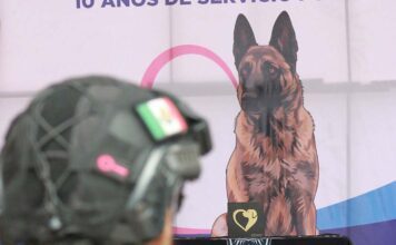 Silao rinde homenaje póstumo a Coyote, integrante de K-9