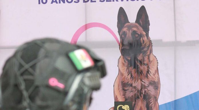 Silao rinde homenaje póstumo a Coyote, integrante de K-9