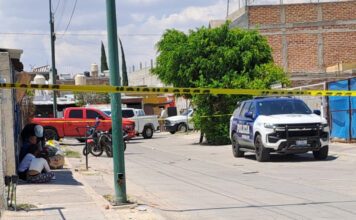 Capturan a un autor material de multihomicido en León