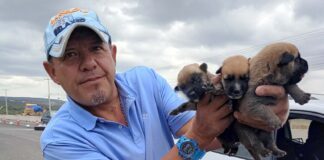 Rescatista Marcos Aguilera organiza “Adoptón” en el Arco de la Calzada en León