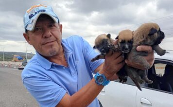 Rescatista Marcos Aguilera organiza “Adoptón” en el Arco de la Calzada en León