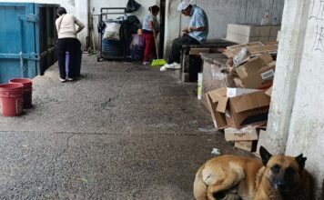Locatarios se quejan del abandono municipal del Mercado Victoria en Silao