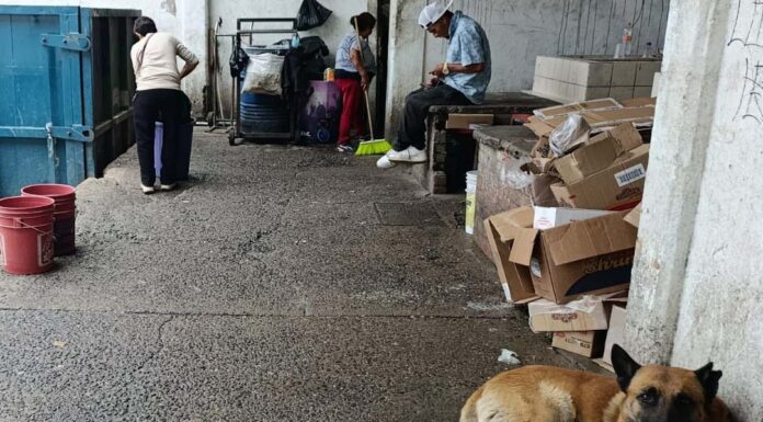 Locatarios se quejan del abandono municipal del Mercado Victoria en Silao