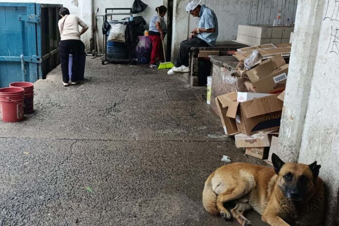mercadovictoria