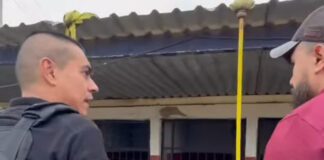 Pide Xava Tovar atender a caninos de Seguridad Pública en Silao