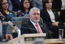 Alejandro Arias Ávila: Experiencia legislativa enfocada en la seguridad y la protección ciudadana en Guanajuato