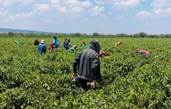 Protege Guanajuato salud de migrantes indígenas