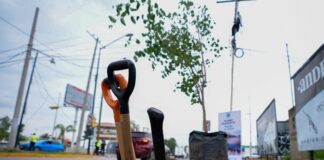 León “rompe” el concreto con estrategia urbana para sembrar 100 mil árboles y ganarle al calor