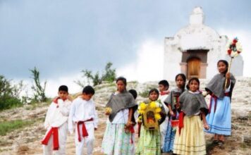Preserva Guanajuato lenguas originarias en la era digital