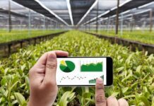 Agrotech en el Bajío: Drones y sensores de suelo revolucionan el uso del agua en el campo guanajuatense