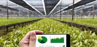 Agrotech en el Bajío: Drones y sensores de suelo revolucionan el uso del agua en el campo guanajuatense