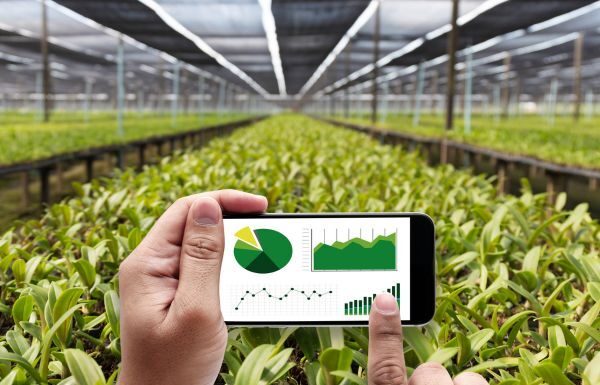 Agrotech en el Bajío: Drones y sensores de suelo revolucionan el uso del agua en el campo guanajuatense