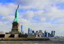 El fenómeno del “Paseador de Humanos”: El negocio que triunfa en las calles de Nueva York