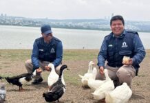 Guardaparques son custodios del ecosistema en Parque Metropolitano de León