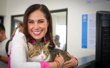 Hospital de Mascotas de León alcanza 67 mil atenciones en su primer año de operación