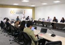 Proponen diputados de AN endurecer penas y castigar de oficio el abuso sexual en Guanajuato