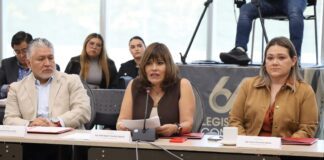 PRI propone que maltratadores paguen veterinarios, prótesis y rehabilitación de animales agredidos.