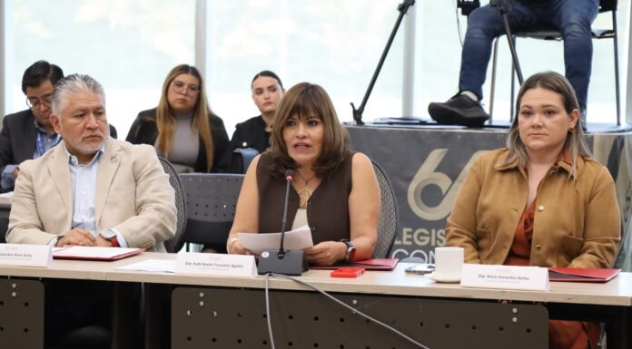 PRI propone que maltratadores paguen veterinarios, prótesis y rehabilitación de animales agredidos.