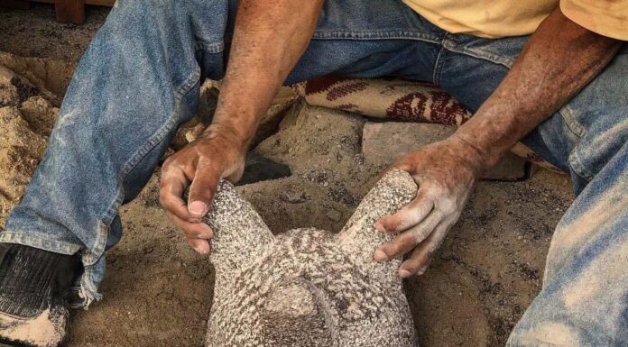 El alma de la cocina mexicana se labra en Comonfort: El arte ancestral de los molcajetes de piedra volcánica