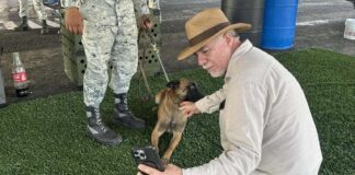 Renuncia otro regidor al PVEM; ahora fue en Silao