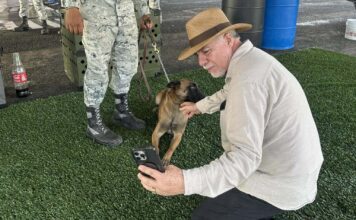 Renuncia otro regidor al PVEM; ahora fue en Silao