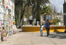 Atenderá gobierno de León vandalismo en panteones