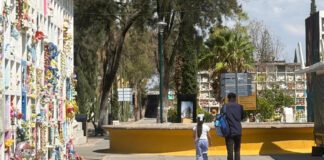 Atenderá gobierno de León vandalismo en panteones