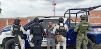 Guanajuato tiene fuerza para combatir al crimen organizado: Libia Dennise