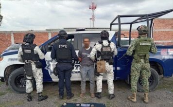 Guanajuato tiene fuerza para combatir al crimen organizado: Libia Dennise