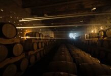 Con aroma a copa internacional: Guanajuato conquista Bruselas y firma el Mejor Vino Mexicano de 2026