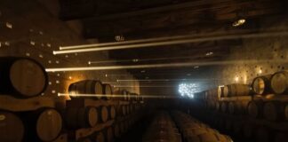 Con aroma a copa internacional: Guanajuato conquista Bruselas y firma el Mejor Vino Mexicano de 2026