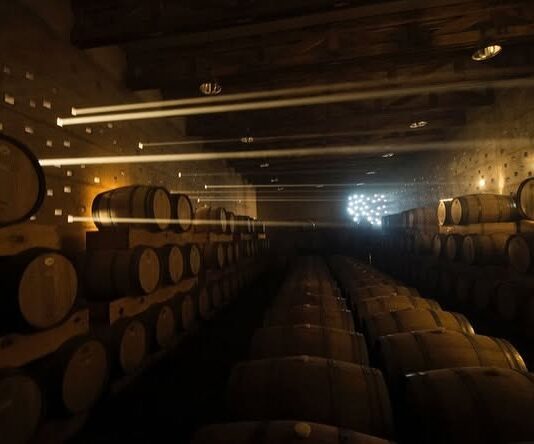 Con aroma a copa internacional: Guanajuato conquista Bruselas y firma el Mejor Vino Mexicano de 2026