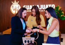 Marca GTO roza los 760 MDP en ventas y suma a más de 9 mil empresas