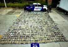 Oficial canino ubica más de 56 mil dósis de droga en un local de paquetería en León