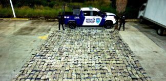 Oficial canino ubica más de 56 mil dósis de droga en un local de paquetería en León