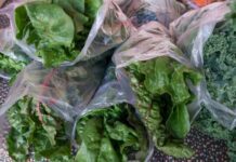 Confirma EU dos primeras muertes relacionadas por cyclospora