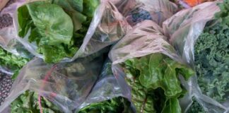 Confirma EU dos primeras muertes relacionadas por cyclospora