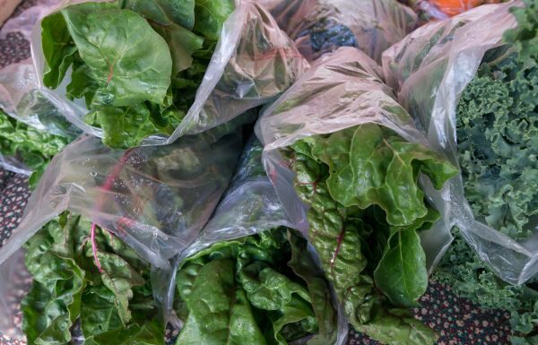 Confirma EU dos primeras muertes relacionadas por cyclospora