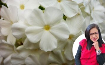 Samara: el trazo que nos dejó visibles