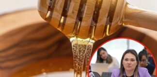 PRI busca proteger a productores de miel contra producto “pirata”