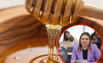 PRI busca proteger a productores de miel contra producto “pirata”