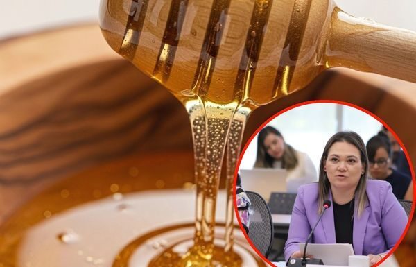 PRI busca proteger a productores de miel contra producto “pirata”